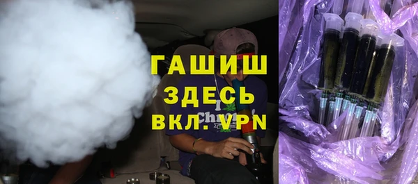 гидра Алексеевка