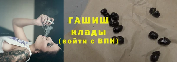 гидра Алексеевка